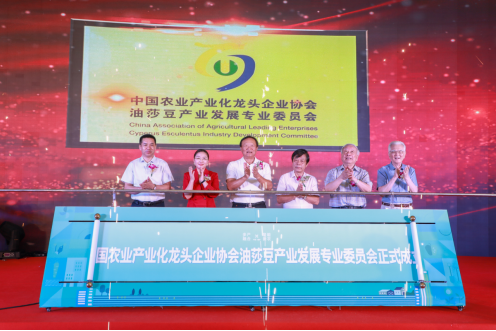 中国农业产业化龙头企业协会油莎豆产业发展专业委员会正式成立 刘身利会长出席成立大会并致辞(图1)