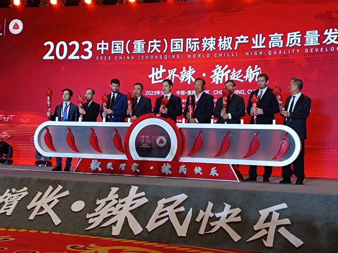 00000000.jpg 00000000.jpg