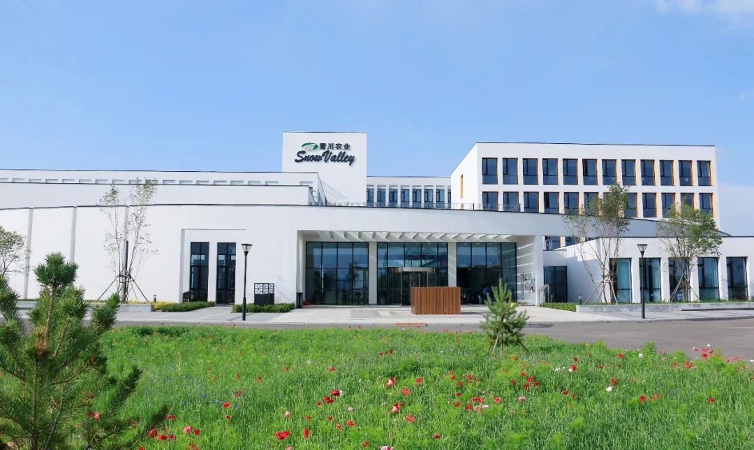 雪川农业集团网站(图1)