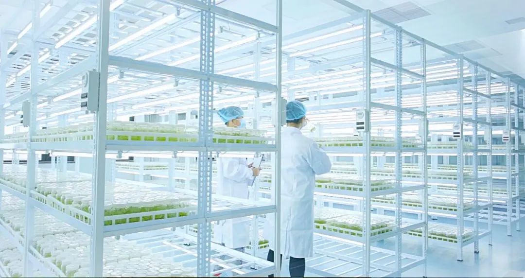 雪川农业集团网站(图3)