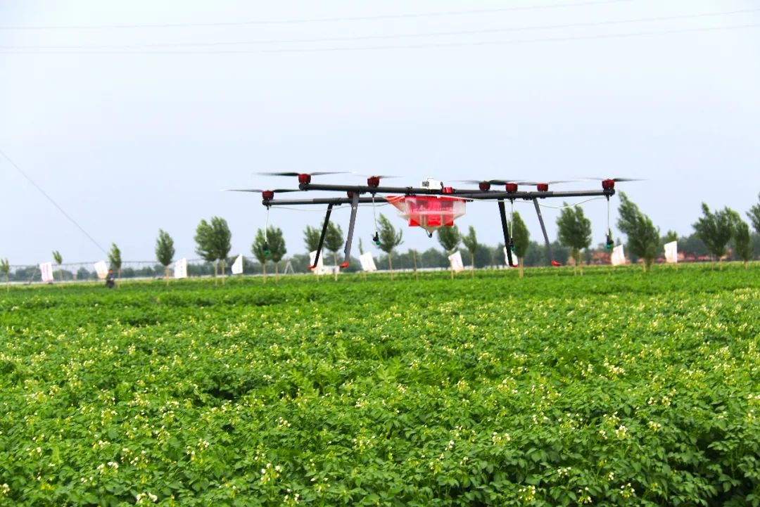 雪川农业集团网站(图5)