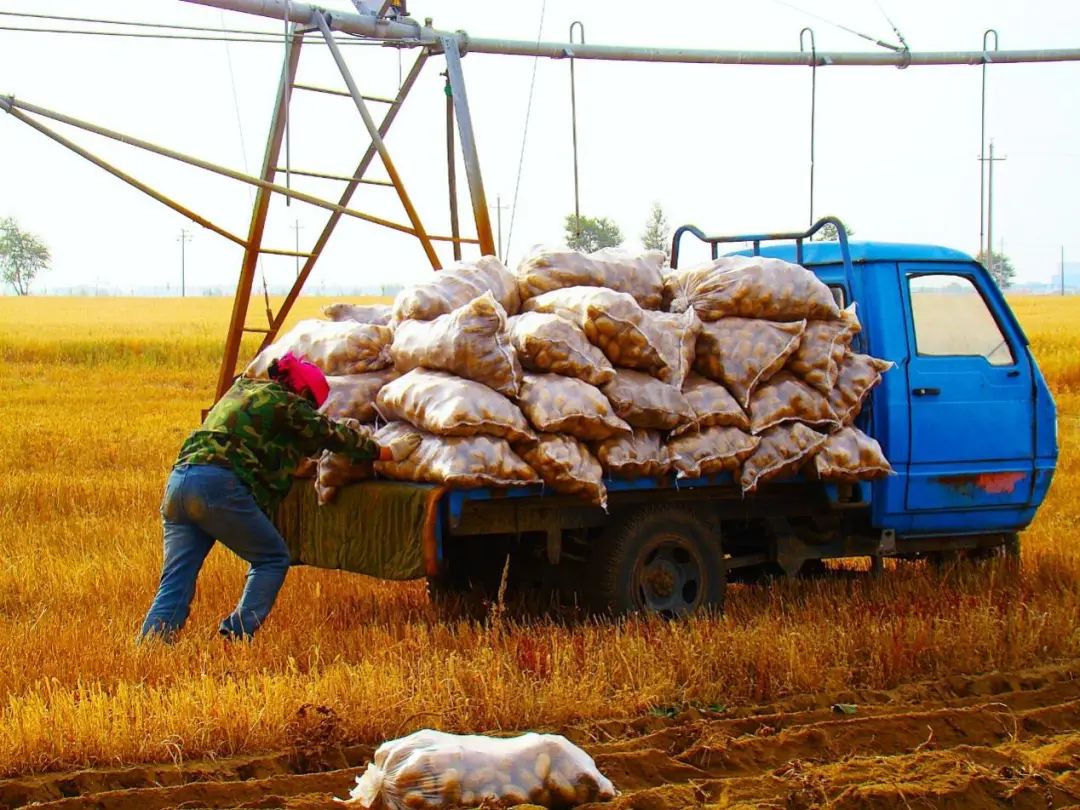 雪川农业集团网站(图9)